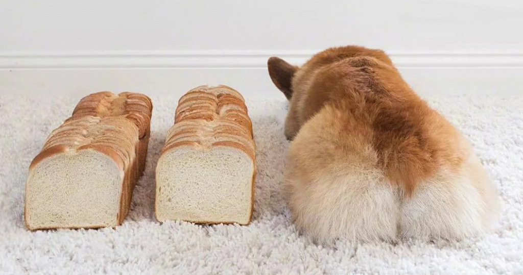 hleb.jpg